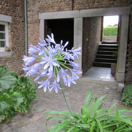 Lisa'S Weelde Bed & Breakfast Tongeren Dış mekan fotoğraf